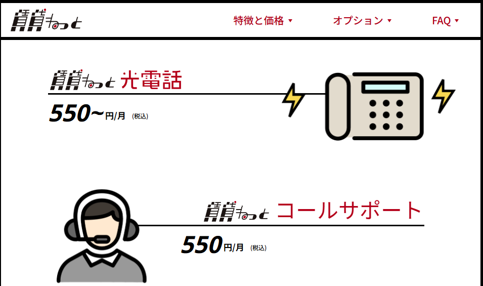 賃貸ねっと　オプション